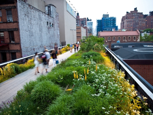 Urban Greenspaces Promoting Positive Headspaces
